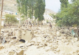 Felakette 900 hayvan yaşamını yitirdi