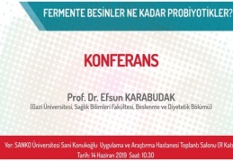 Fermente besinler, son yılların en çok tartışılan konularından