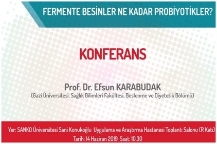 Fermente besinler, son yılların en çok tartışılan konularından