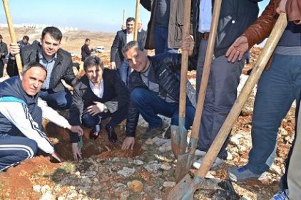 Fidan diktiler