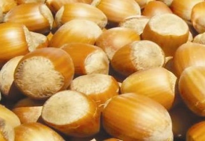 Fındık fiyatı üreticiyi sevindirdi