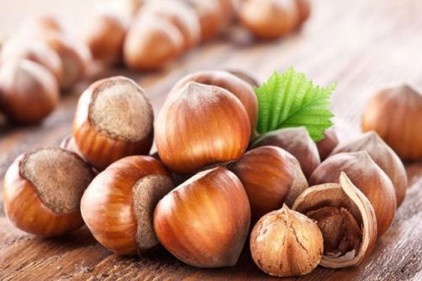 Fındık ihracat gelirinde tüm zamanların rekoru kırıldı