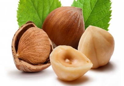 Fındıkta alan bazlı destek uzadı