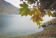 Fırat Nehri kıyısında sonbahar bir başka güzel