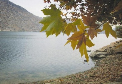 Fırat Nehri kıyısında sonbahar bir başka güzel