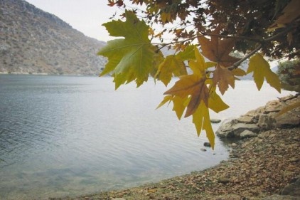 Fırat Nehri kıyısında sonbahar bir başka güzel