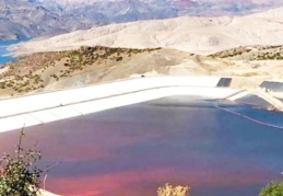 "Fırat Nehri'ne siyanür karıştığı" iddia edildi