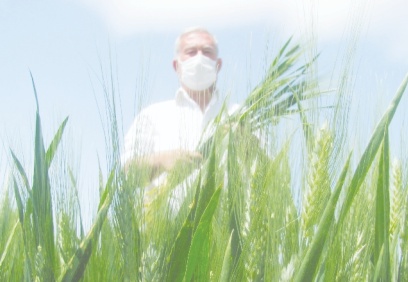 Firik hasadı başladı