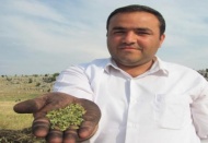 Firik zamanı