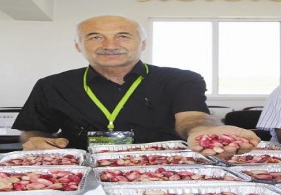 Fıstığın güzel seçildi 