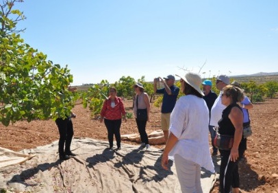 Fıstığın tarladan sofraya uzanan yolculuğunu yakından gördüler 