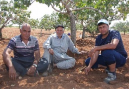 Fıstık baronları sahneye çıktı