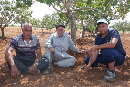 Fıstık baronları sahneye çıktı