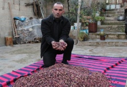 "Fıstık fiyatları tarlada düşük, tezgahta yüksek" 