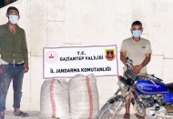 Fıstık hırsızları jandarmaya yakalandı