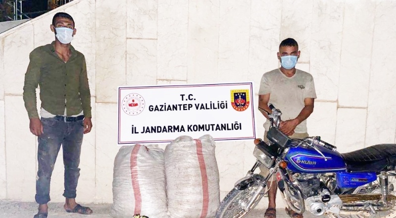 Fıstık hırsızları jandarmaya yakalandı