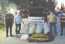 Fıstık hırsızları kovalamaca sonucu yakalandı