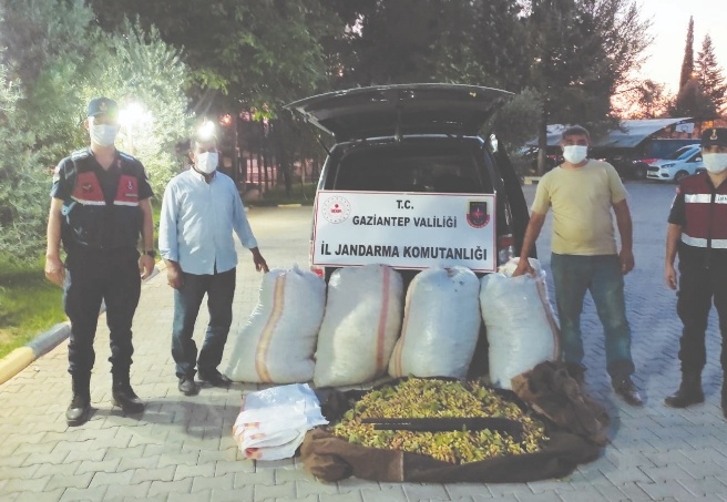 Fıstık hırsızları kovalamaca sonucu yakalandı