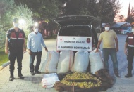 Fıstık hırsızları kovalamaca sonucu yakalandı