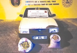 Fıstık hırsızları suçüstü yakalandı