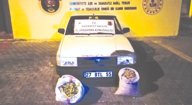 Fıstık hırsızları suçüstü yakalandı