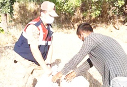 Fıstık hırsızlarına göz açtırmamalıyız