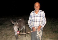 Fıstık hırsızlığını önlemek için sabaha kadar eşeğiyle dolaşıyor