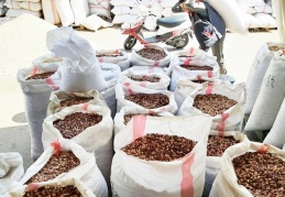 Fıstık ihracatı yüzde 70 oranında düştü