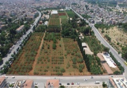 “Fıstık Parkı”nda fıstık için müze yapılacak