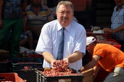 Fıstık üreticileri, geçen yıla oranla düşüşte olan fiyat nedeniyle zor durumda 