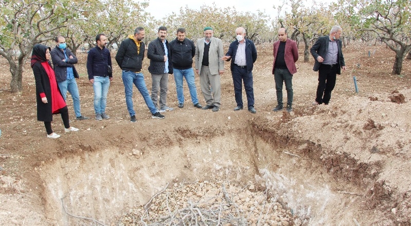 Fıstık üreticileri rekoltede iki kat artış sağlayacak