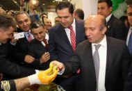 Fıstıklı çiğköfte beğenildi