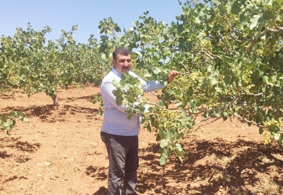 Fiyatı düşürüp, üreticiyi tüccarın kucağına atmayı planlıyorlar