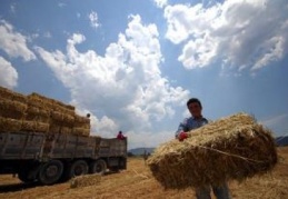 Fiyatı yüzde 400 arttı