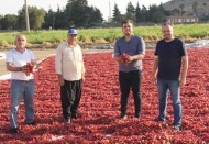 Fiyatların düşük olması üreticiyi zor durumda bırakıyor