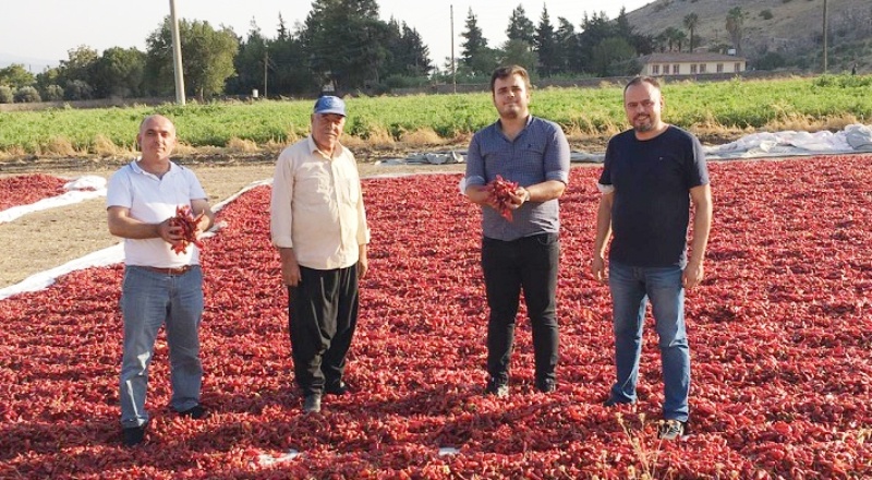 Fiyatların düşük olması üreticiyi zor durumda bırakıyor