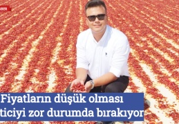 Fiyatların düşük olması üreticiyi zor durumda bırakıyor