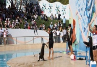 Foklar Uruguay’dan, bakıcıları Meksika’dan, su İskenderun’dan geldi