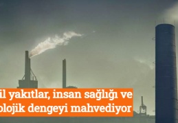 Fosil yakıtlar, insan sağlığı ve ekolojik dengeyi mahvediyor