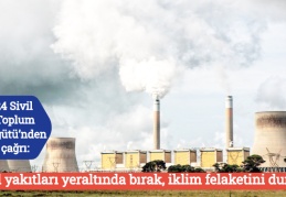 “Fosil yakıtları yeraltında bırak, iklim felaketini durdur”