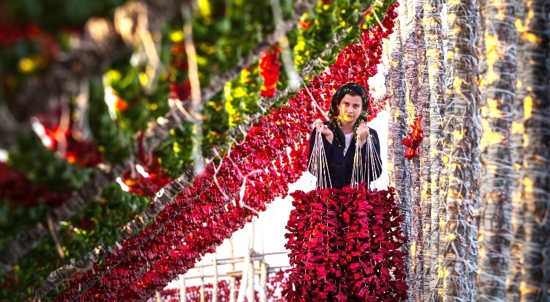 Fotoğraf yarışmasının startı verildi