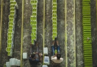 Fotomaraton’a 315 kişi bin 205 fotoğraf ile katıldı