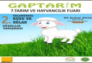 Fuarları Çelik açacak