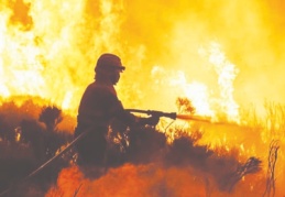G20 ülkelerindeki insanların yüzde 83'ü, doğayı korumak ve eski haline getirmek için daha fazlasını yapmaya hazır