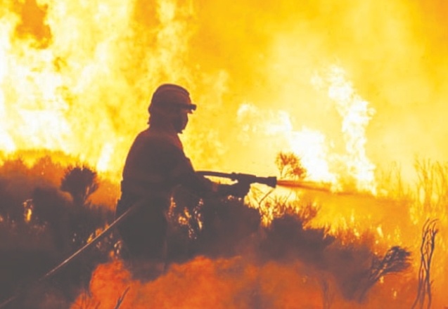 G20 ülkelerindeki insanların yüzde 83'ü, doğayı korumak ve eski haline getirmek için daha fazlasını yapmaya hazır
