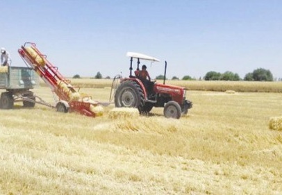 GAP, bölgede üretimde patlamaya neden oldu