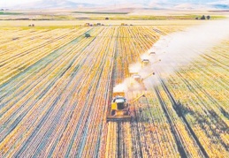 GAP, DAP ve KOP yıllardır bitirilemedi