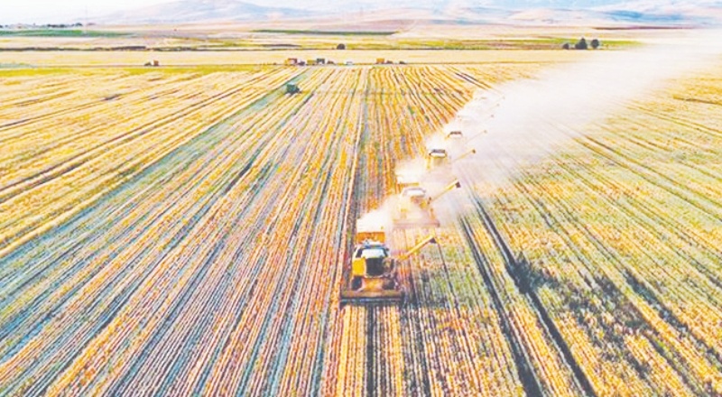 GAP, DAP ve KOP yıllardır bitirilemedi