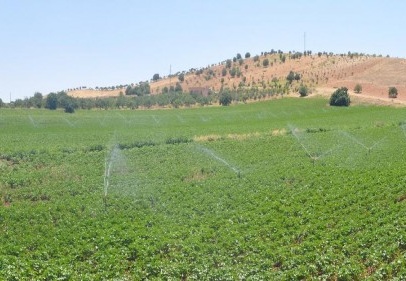 GAP, revizyon planıyla 2017’de bitirilecek