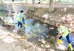 GASKİ temizliyor, vatandaş çöplüğe çeviriyor